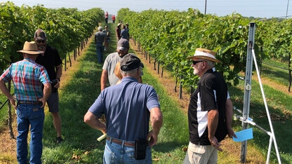 Viticulture field day is Aug. 8