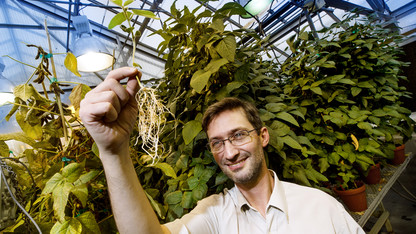 Nebraska plant scientist digs deeper into soybeans and soil bacteria