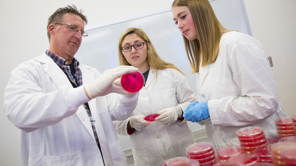 Students gain unique experience tracking, testing for salmonella