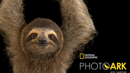 Exhibit to feature Sartore's National Geographic photos