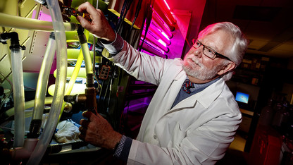 Husker biochemist named AAAS fellow
