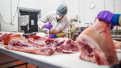 Animal Science to develop small meat processing plant