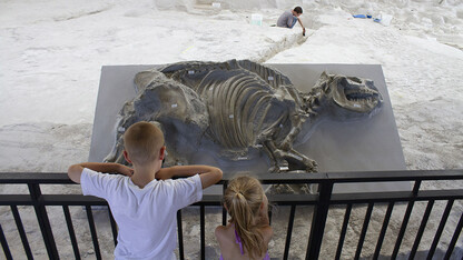 Ashfall Fossil Beds opens for 31st season