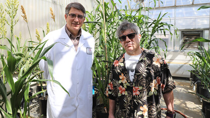 Husker duo part of national push for improved biofuels