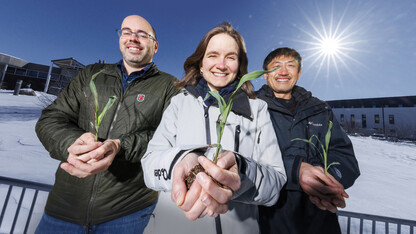 Husker researchers aim to help crops survive cold snaps