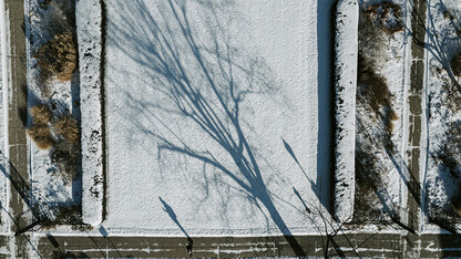 Winter shadows | Photo of the Week