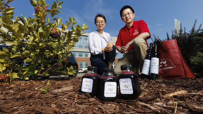 Berry study leads to juicy faculty startup