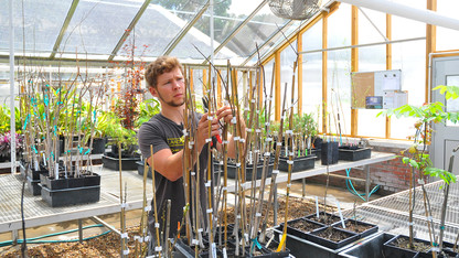 Photo of the Day — Horticulture lab prep