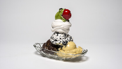 Sheldon launches new hours with free sundaes