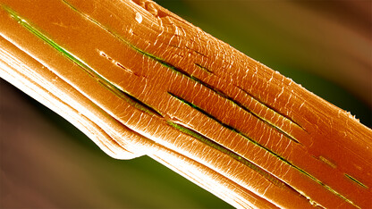 Study yields breakthroughs in understanding failure of high-performance fibers