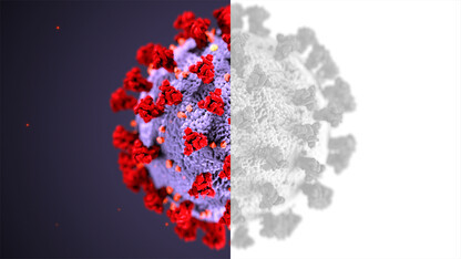 Study: Seasonal coronaviruses might stimulate cross-protection against SARS-CoV-2