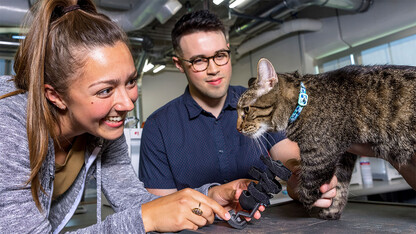 Nebraska Engineering students craft prosthetic for cat