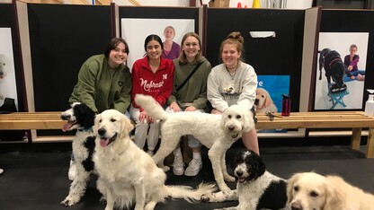Advertising, PR students 'pawfect' match for service dog org 
