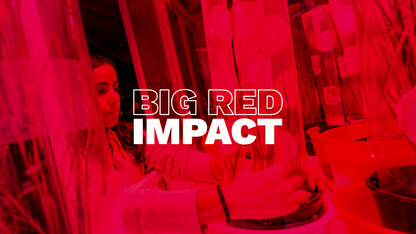 Decade of success builds momentum for Big Red research, creative activity