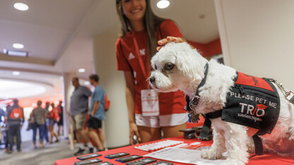 Neo lends a helping paw at New Student Enrollment 