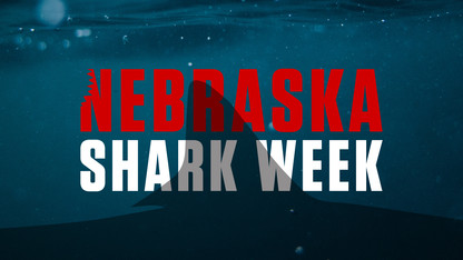 Welcome to Shark Week — Nebraska style