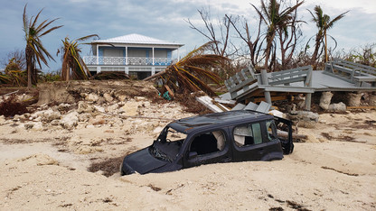 Wood gauges Hurricane Dorian impacts on the Bahamas