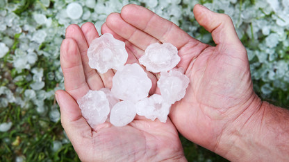 When hail strikes, Nebraska Extension has answers