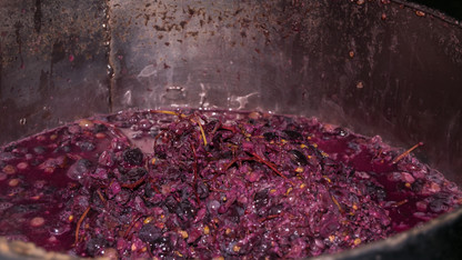 Husker researchers explore ways to repurpose grape waste