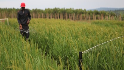 Nebraska team aims to improve irrigated ag in sub-Saharan Africa
