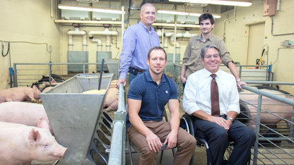 Husker researchers develop livestock-monitoring technology