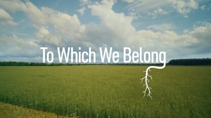 TO WHICH WE BELONG // TRAILER