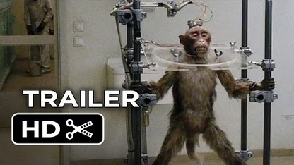 A Pigeon Sat on a Branch Reflecting on Existence Official US Release Trailer 1 (2015) - Movie HD