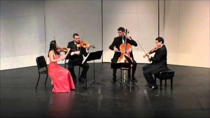 Skyros String Quartet