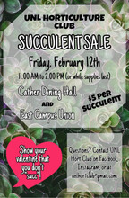 Succulent Sale Flyer