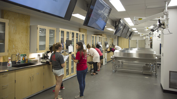 Anatomy lab students examine items under microscopes in a redesigned space in Manter Hall. The lab now allows for collaborative learning.