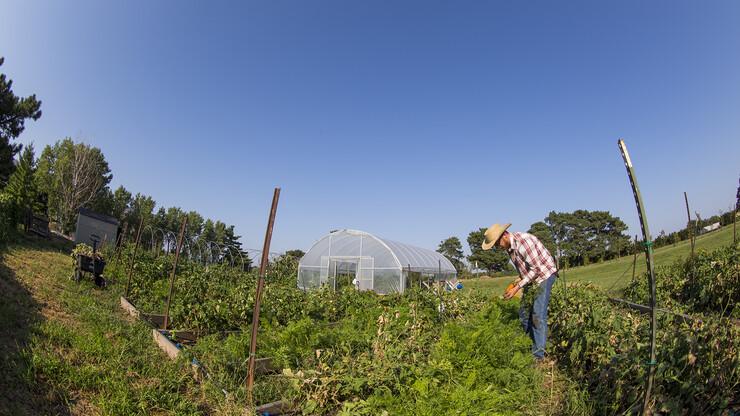 A grant from ASUN's Green Fund is helping Nash Leef re-establish and expand Bugeater Farms. Established by a student vote in 2015, the fund provides grants for student-led projects that enhance sustainability on campus.