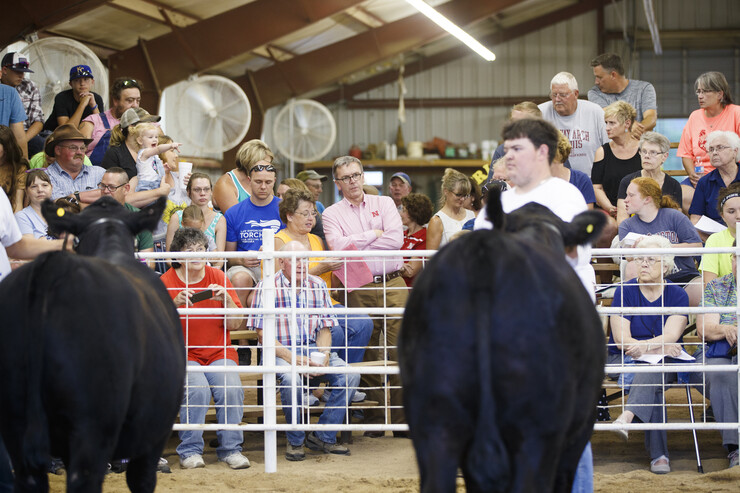 Chancellor Ronnie Green watches an event at the Jefferson County Fair in Fairbury on July 13.