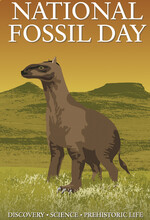National Fossil Day is a celebration organized by the National Park Service to promote public awareness and stewardship of fossils.