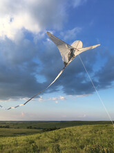 Youths will be able to create and fly a kite featuring a Great Plains bird during a June 5 event.