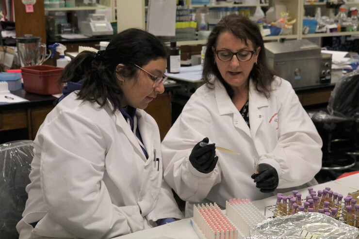 Andrea Cupp (right) shows Ailenn Castillo, a senior forensic science major, how to pull plasma off blood samples from research cows. Cupp will demonstrate the centrifuge procedure to separate the blood components so the DNA can be banked and the cows can be genotyped.