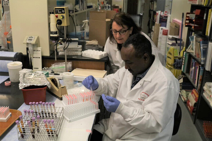 Anteneh Mersha, a doctoral student in the Cupp lab, discusses blood plasma processing with Andrea Cupp. The Cupp lab analyzes the levels of the hormone progesterone in blood samples from the research cow herd. The hormone level relates to when a heifer reaches puberty, which can have a connection to infertility. The research findings are relevant in better understanding factors behind infertility in women.