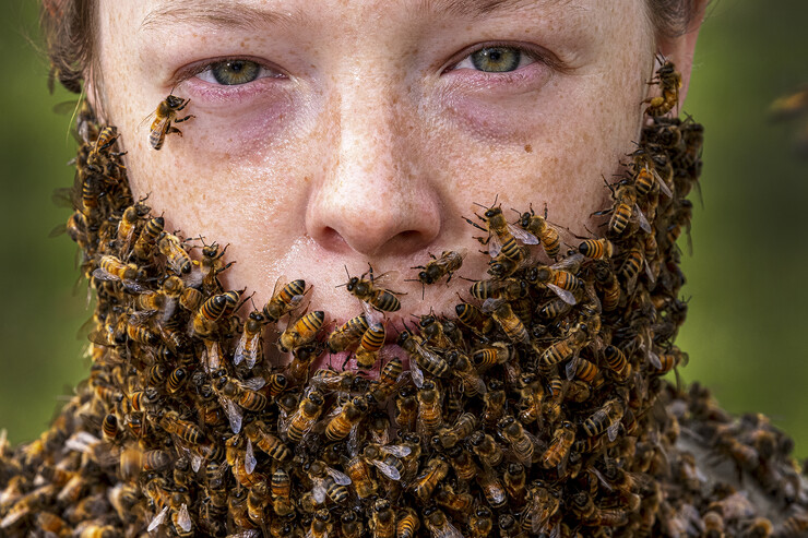 A student from Judy Wu-Smart's UNL Bee Lab poses for a photo wearing a bee beard. The photo, shot by University Communication's Craig Chandler, recently earned an award.