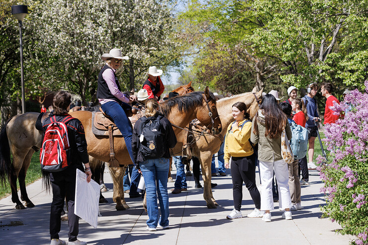 Students gather around rodeo club members and their horses on City Campus May 1.
