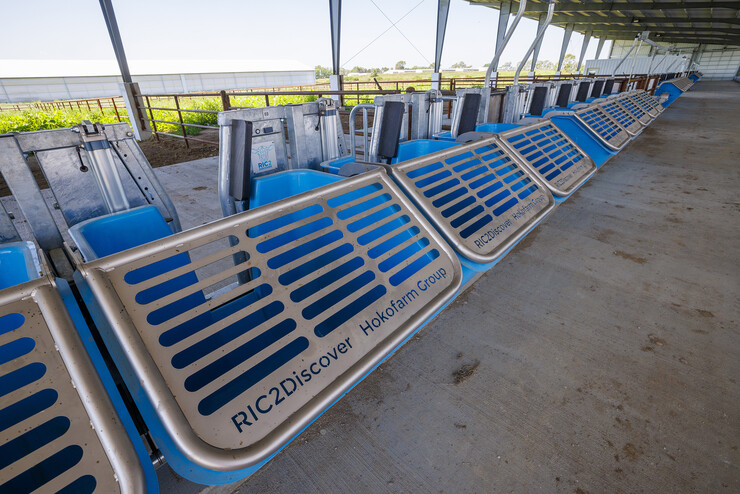 The technology in the Terry Klopfenstein Feeding Technology Center will allow individual feeding bins for each cow. Doors on the feed bins will only allow the proper cattle access to the bin. That way groups of cattle can easily be fed different diets.
