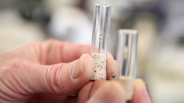 Rob Skolnick holds vials that hold individual microfossil teeth he excavated from sediment.