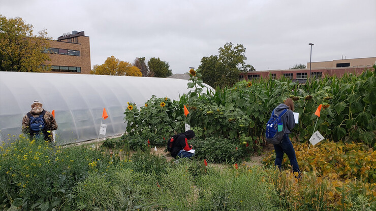 Students work outside a greenhouse on East Campus.