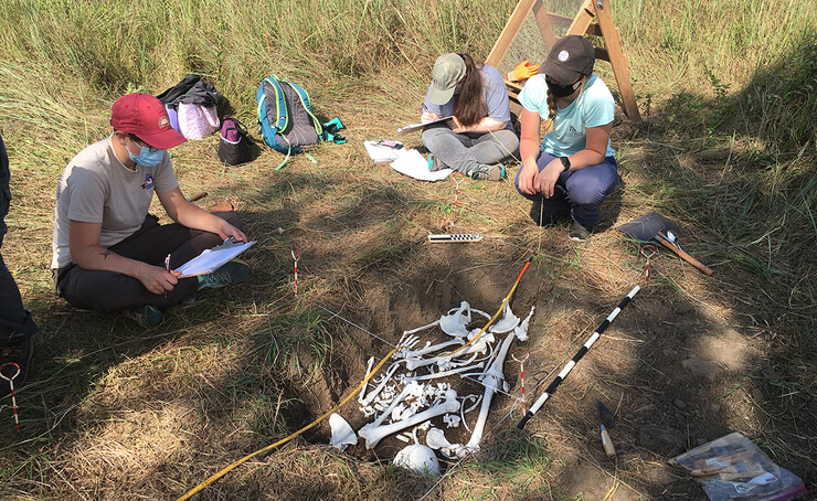 Students practice excavation skills with plastic skeletons at Reller Prairie.