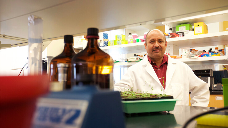 Hernan Garcia-Ruiz, assistant professor of plant pathology, has earned a $1.3 million grant from the National Institutes of Health to study how plants identify viral RNAs that allow a virus to replicate.