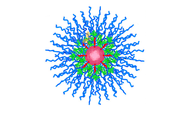 Nanoparticle
