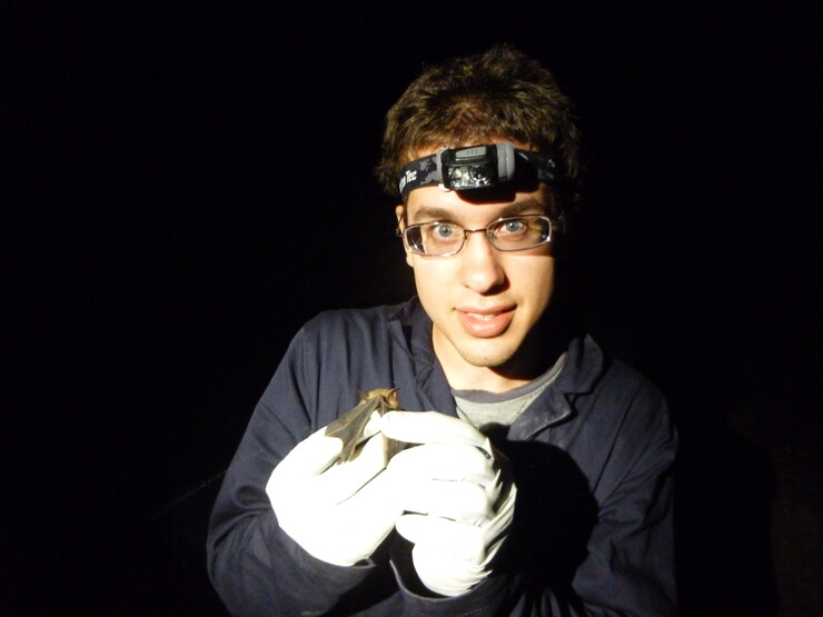 Christopher Fill holds a northern long-eared bat captured during a 2015 study in Tennessee.