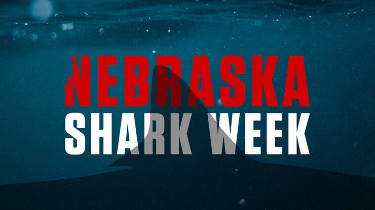 Nebraska Shark Week