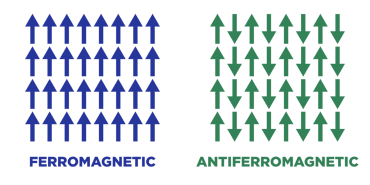 Ferromagnet and antiferromagnet