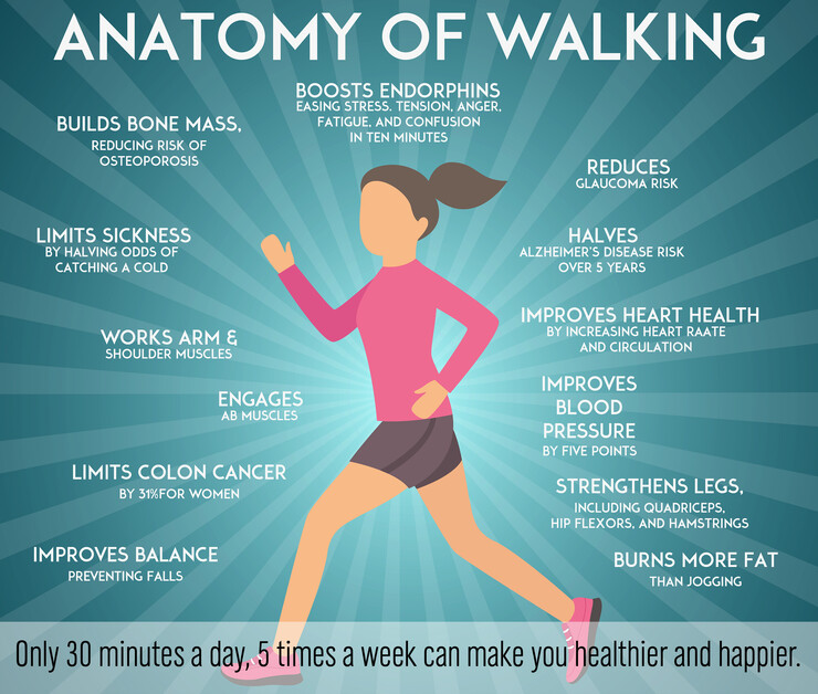 Walking benefits chart