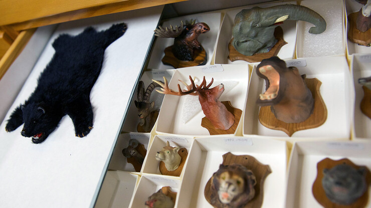 The Kruger collection includes a wide variety of items to decorate miniature rooms, including these animal head mounts and bear skin rug.
