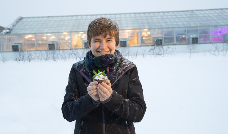 Rebecca Roston, assistant professor of biochemistry, holds a pea plant outside the Beadle Hall greenhouses. Roston, who recently earned a National Science Foundation CAREER award, is studying how more than 30 species of plants respond to freezing.